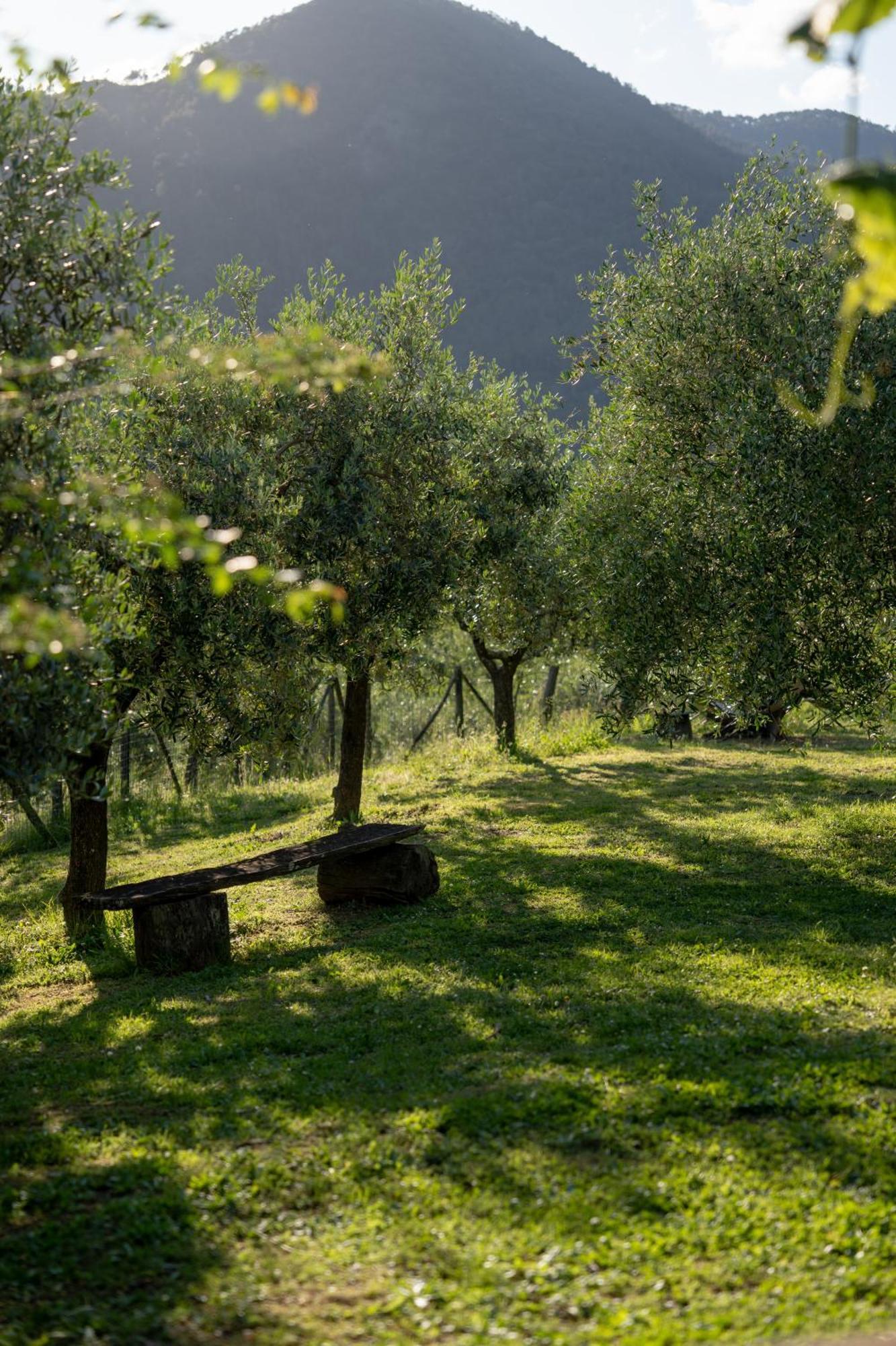 Agriturismo I Due Ghiri - Cinque Terre Calice al Cornoviglio Exteriér fotografie